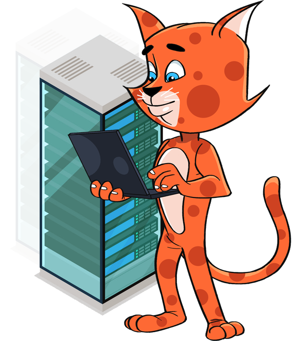 netherland dedicated server